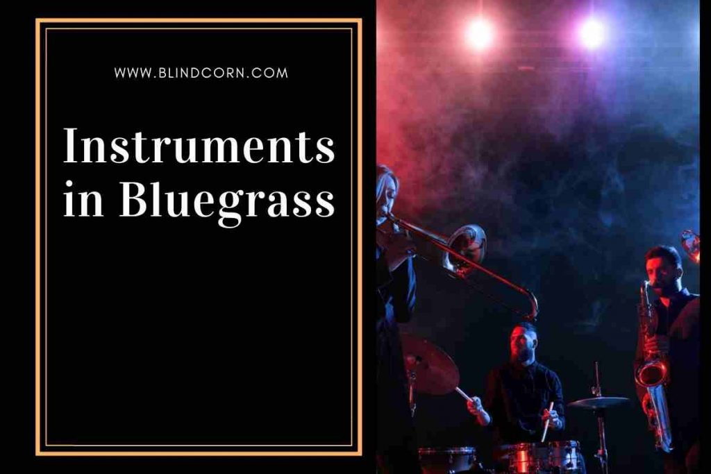 Bluegrass Instruments Types